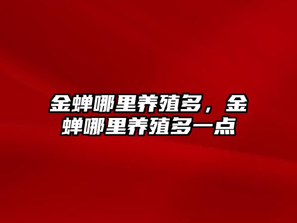 金蟬哪里養(yǎng)殖多，金蟬哪里養(yǎng)殖多一點(diǎn)